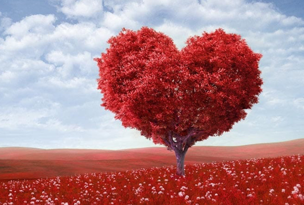 Valentine’s Day
